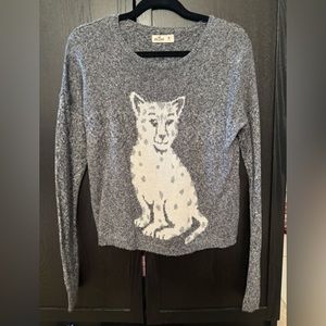 Hollister cat sweater in a light knit favorite.